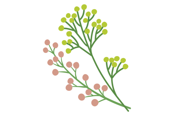 Blooming Branch Graphics for Editorial and Web Design