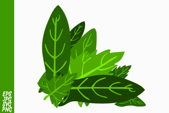 Leaf Decorative Graphics for Digital Sellers