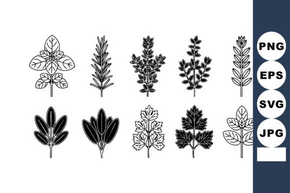 Set of Decorative Black and White Nature Graphics