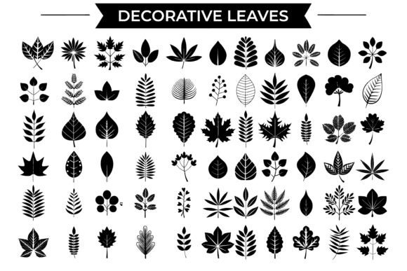 SVG Decorative Leaves Collection Graphics Freebies